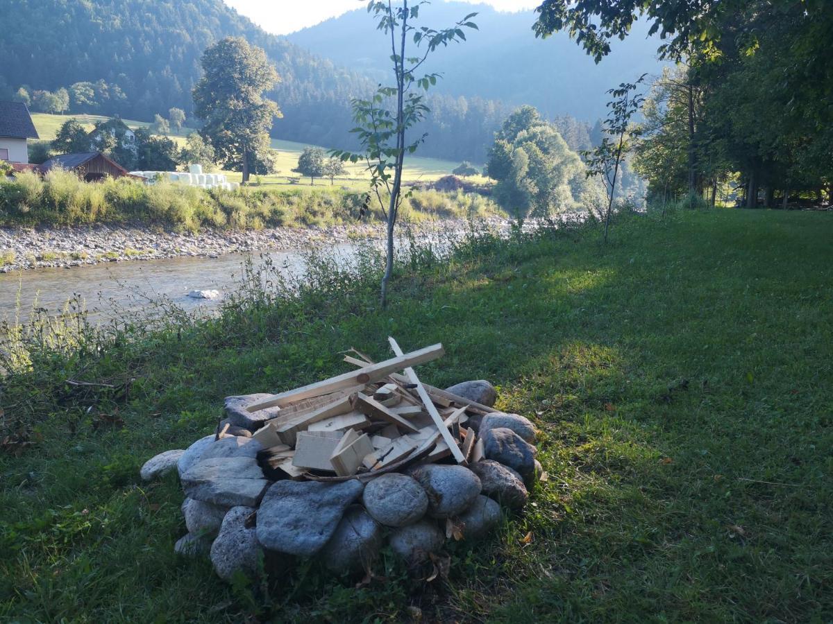 Отель Kamp Na Otoku - Ljubno Ob Savinji Экстерьер фото