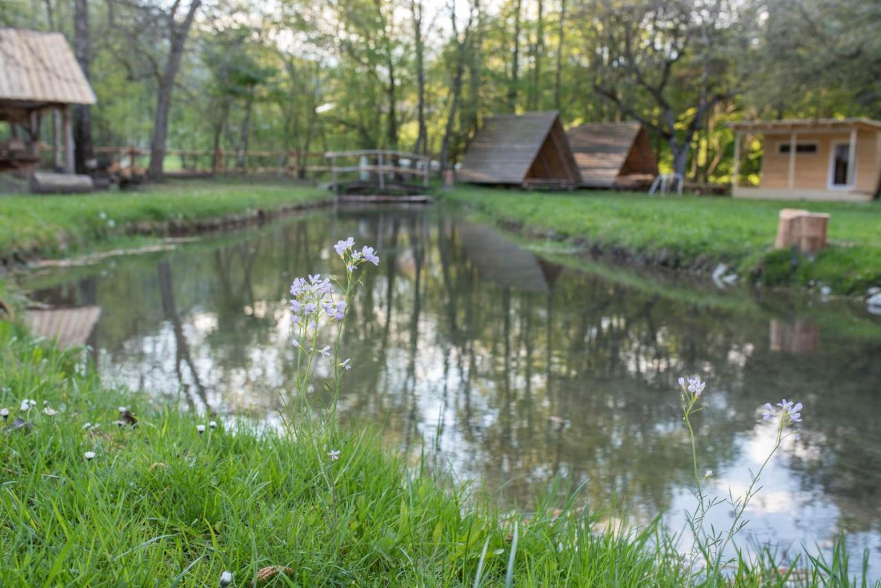 Отель Kamp Na Otoku - Ljubno Ob Savinji Экстерьер фото