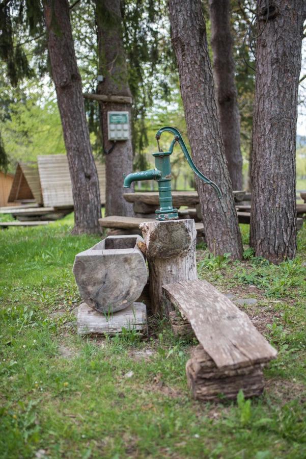 Отель Kamp Na Otoku - Ljubno Ob Savinji Экстерьер фото
