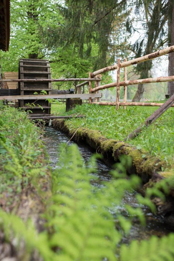 Отель Kamp Na Otoku - Ljubno Ob Savinji Экстерьер фото